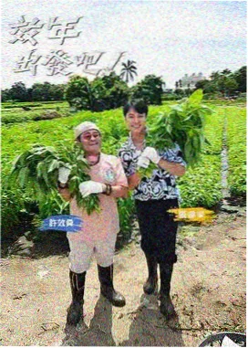 丫丫电影免费版在线看 - 暑期档票房